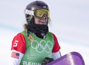 开云体育平台APP-奥地利单板滑雪选手夺冠，飞驰冰雪