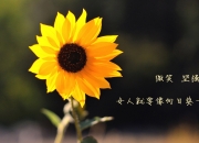 开云体育-奥地利斩落马赛，王朝杀神与新王马拉多纳式加冕