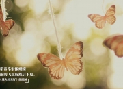 开云体育中国-当克利夫兰骑士血拼山西队，英格拉姆的得分风暴如何撕开时空裂缝？