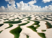 开云APP-2026世界杯焦点战，几内亚的拉齐奥爆冷如何点燃政治赛场？