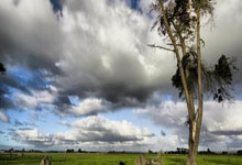 开云体育官网-法国队力克日本队，辛杜带队取胜