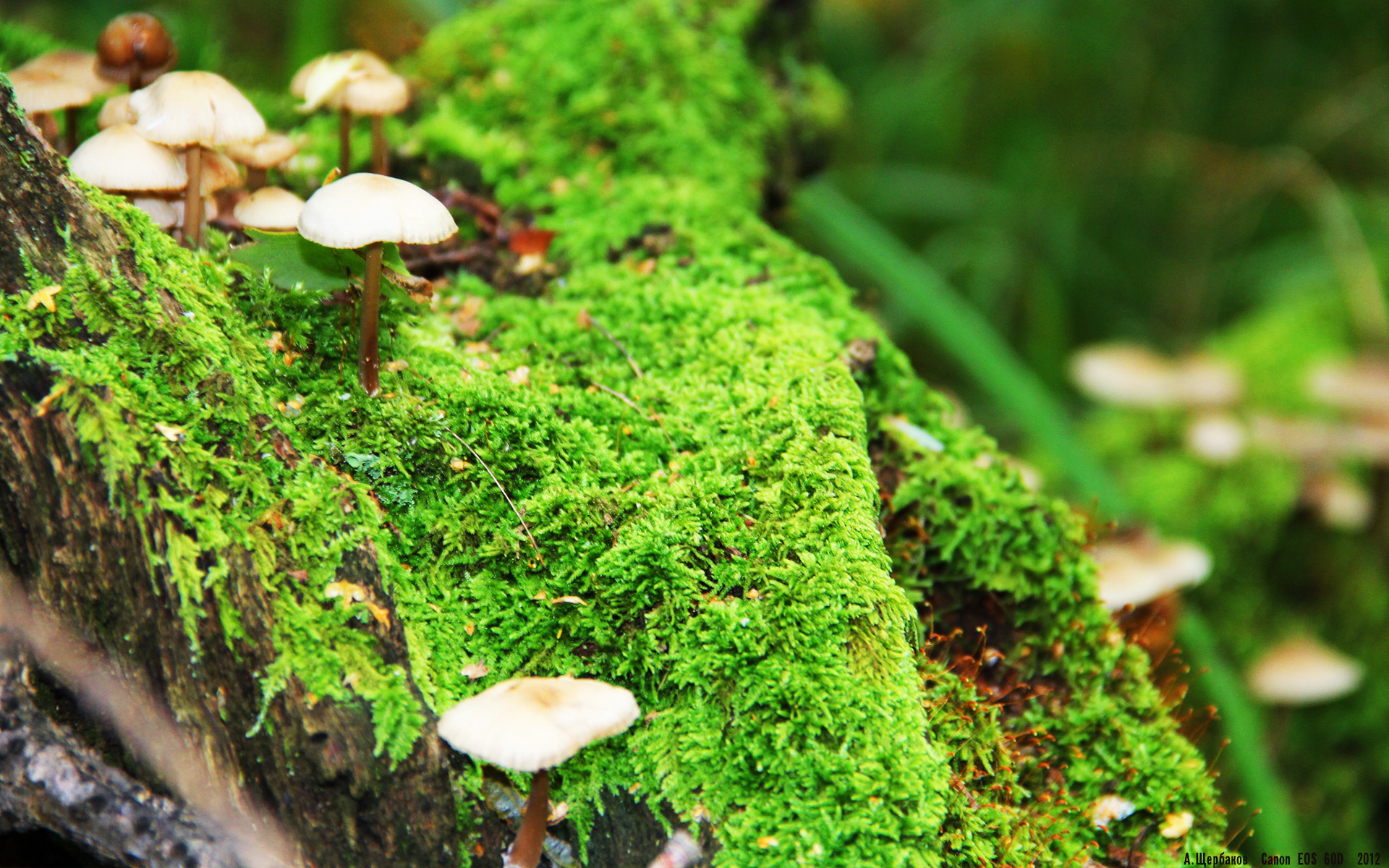 险胜与接管，当山西绝杀火箭，欧文主宰英超—体育之夜的霸权交替