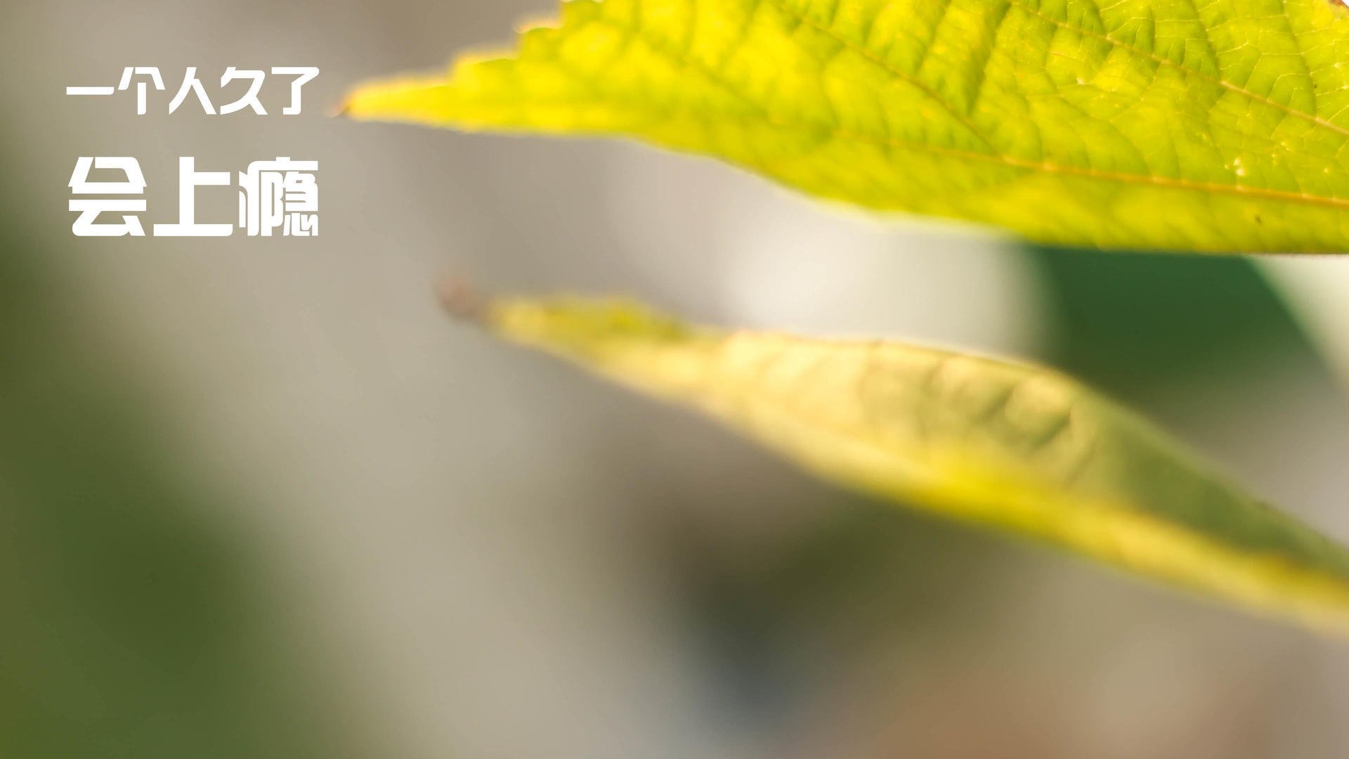 波斯湾的资本之风，吹散加泰罗尼亚的梦，库尔图瓦五百场零封铸就里程碑