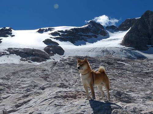 奥运格局的撕裂与重塑,韩国狂胜尼日利亚背后的关键战启示