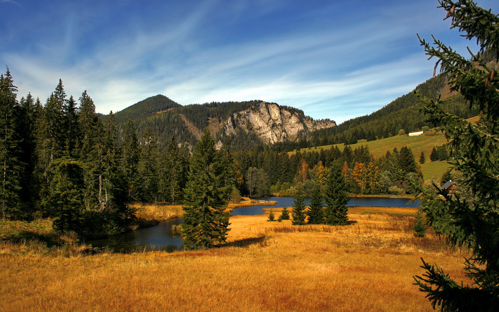 德布劳内的手术刀与非洲钢刃,那些淬火时刻如何雕琢足球的永恒质感